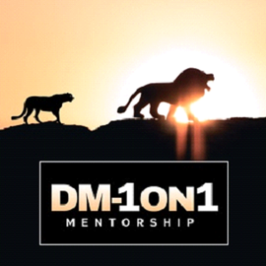 1 on 1 Mentorship